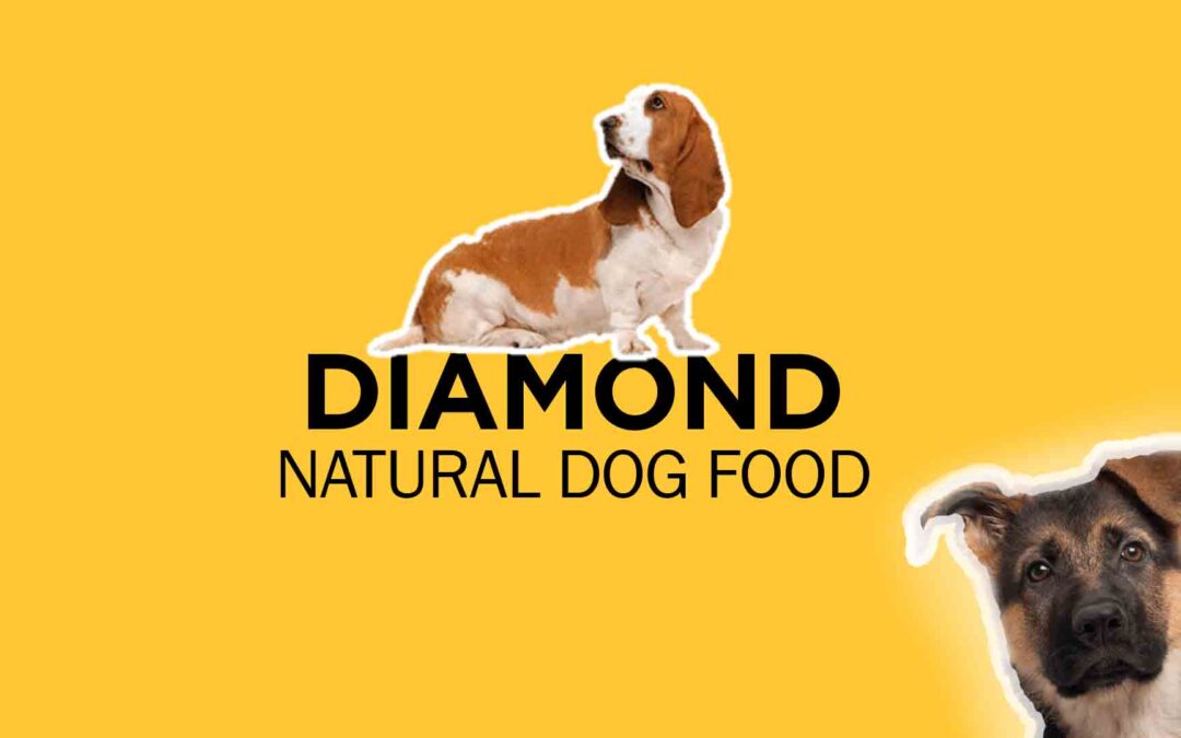 Diamond Natural Dog Food