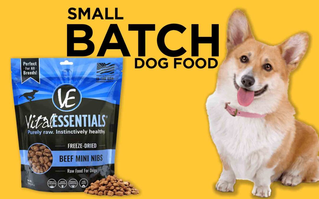 Small Batch Dog Food