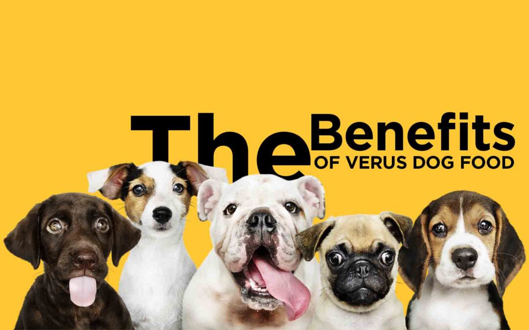 The Benefits of Verus Dog Food