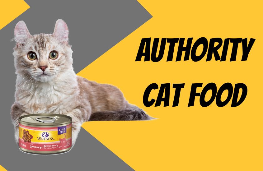 Authority Cat Food