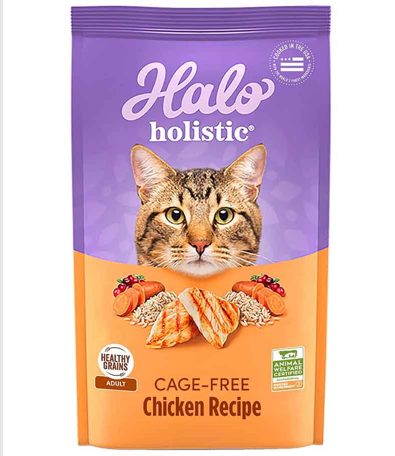 Halo Cat Food