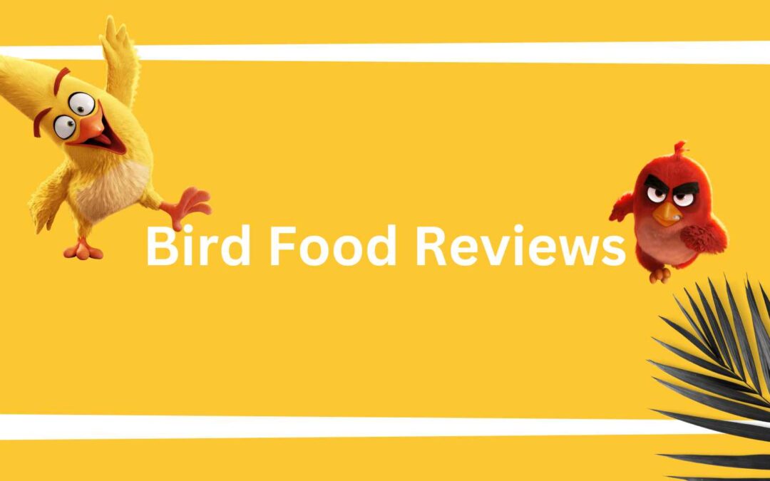 Bird Food Reviews